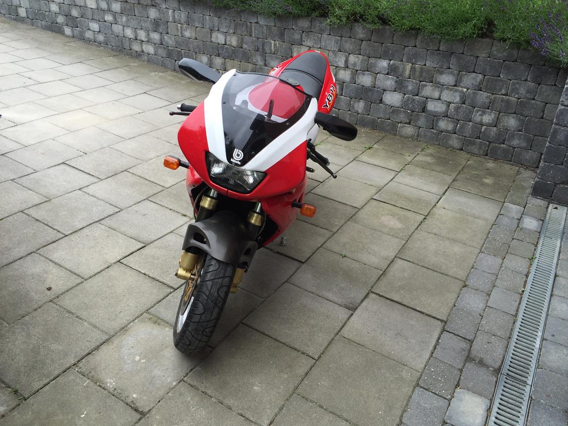 Bimota YB 11 billede 2