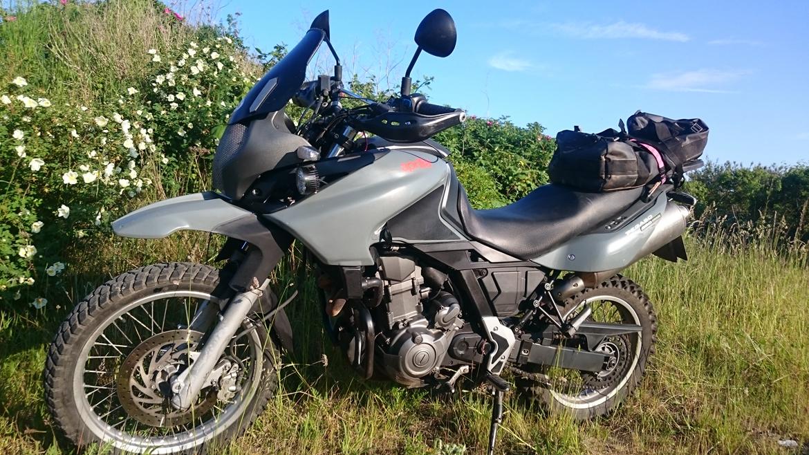 Aprilia Pegaso trail 650  billede 1