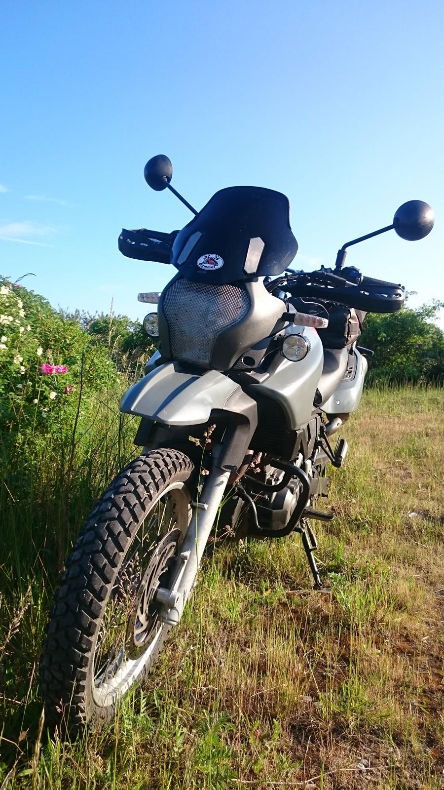 Aprilia Pegaso trail 650  billede 2