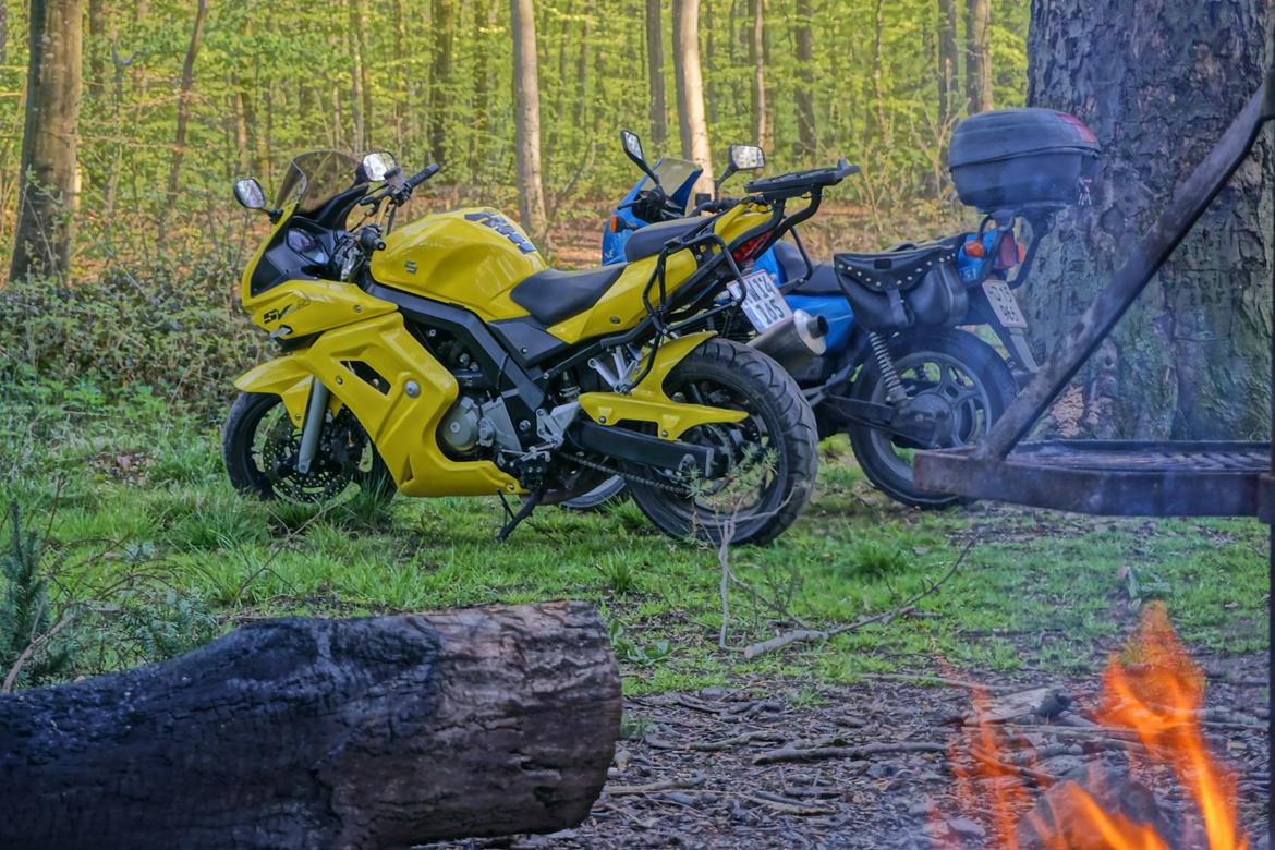 Suzuki SV 650s k5 billede 4