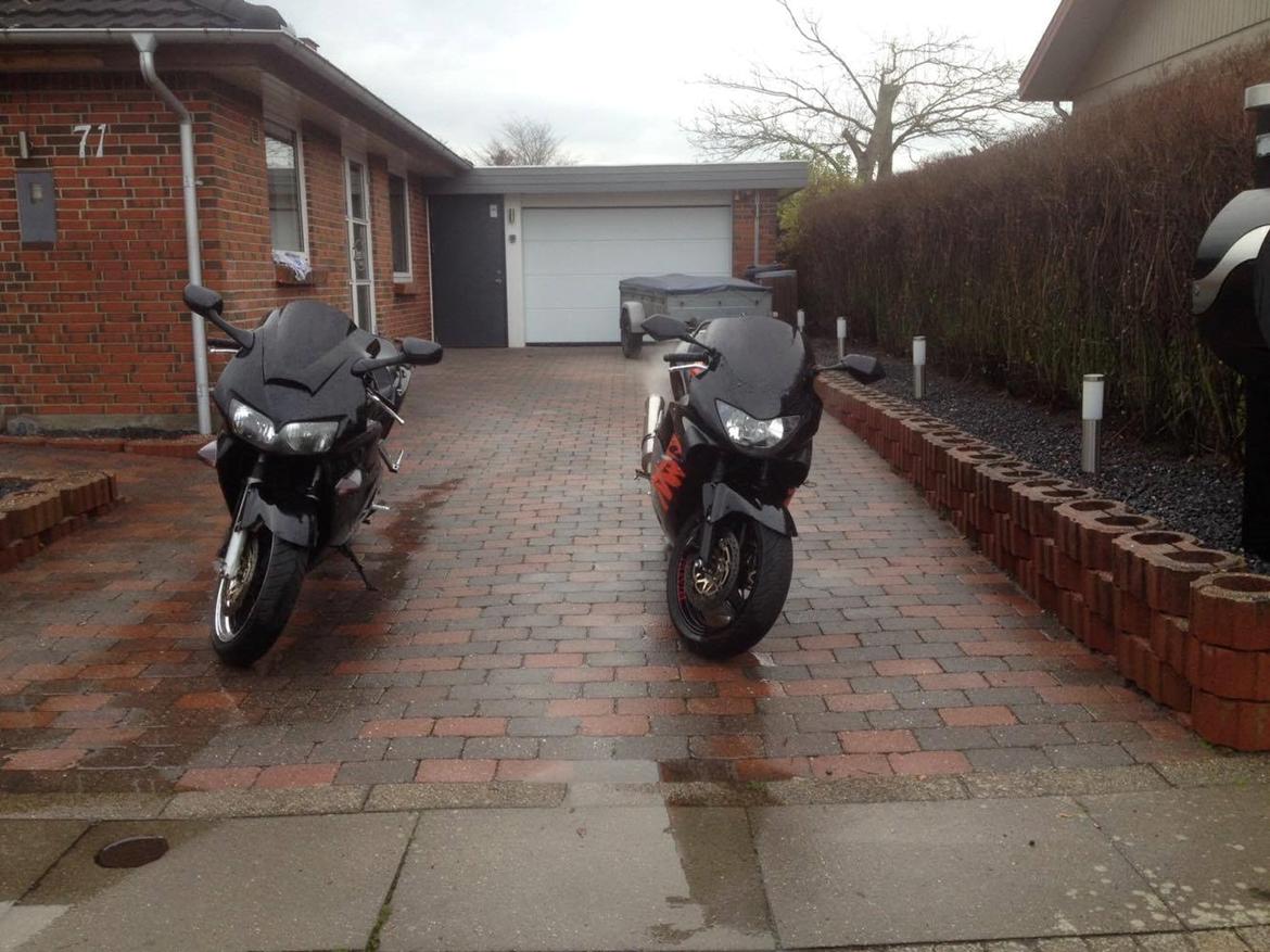 Honda CBR 600 F4 billede 6