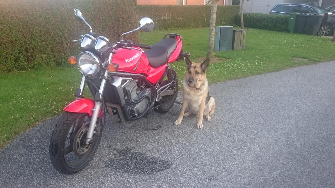 Kawasaki ER-5 (Solgt)  billede 16