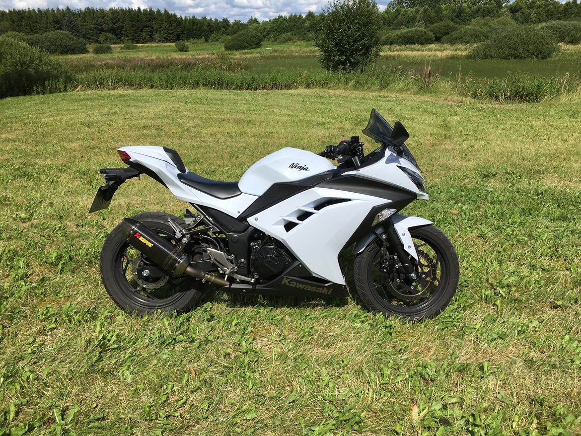 Kawasaki Ninja 300 ( ZX-3R) billede 12