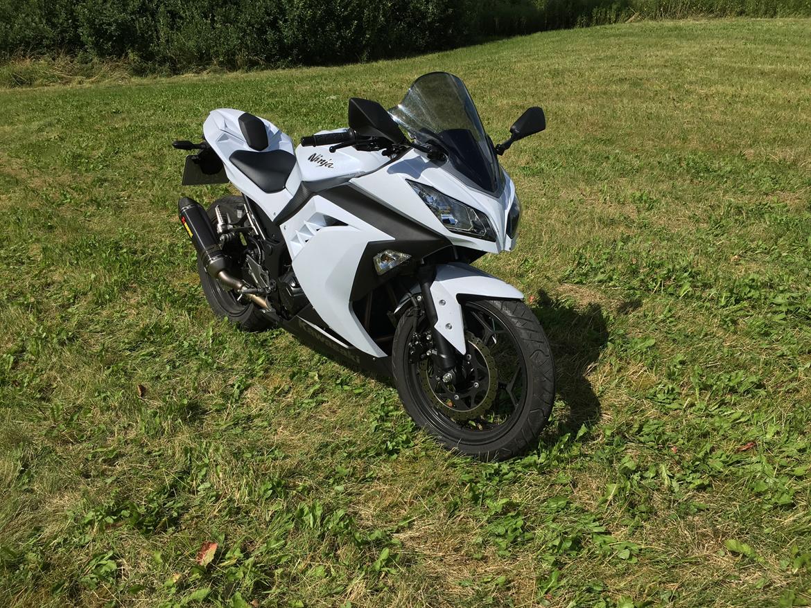 Kawasaki Ninja 300 ( ZX-3R) billede 14