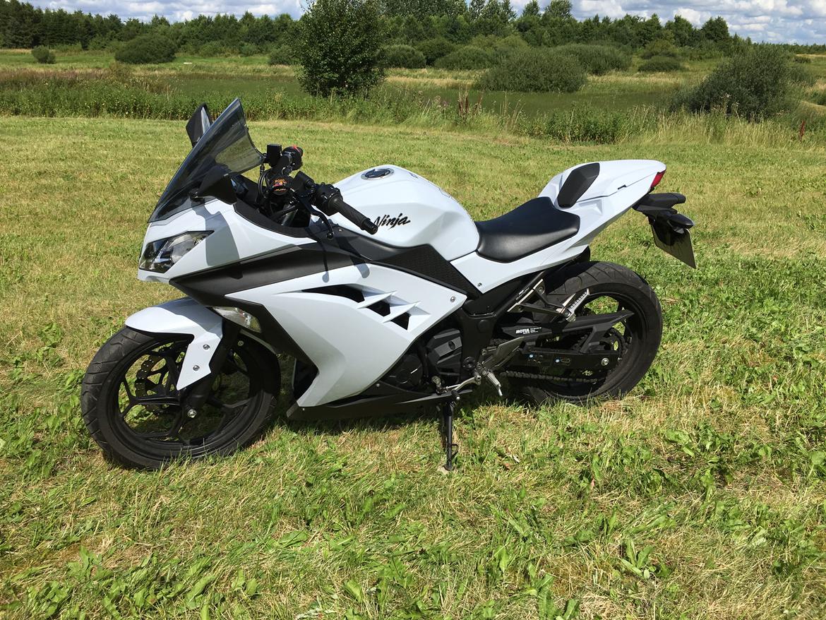 Kawasaki Ninja 300 ( ZX-3R) billede 13