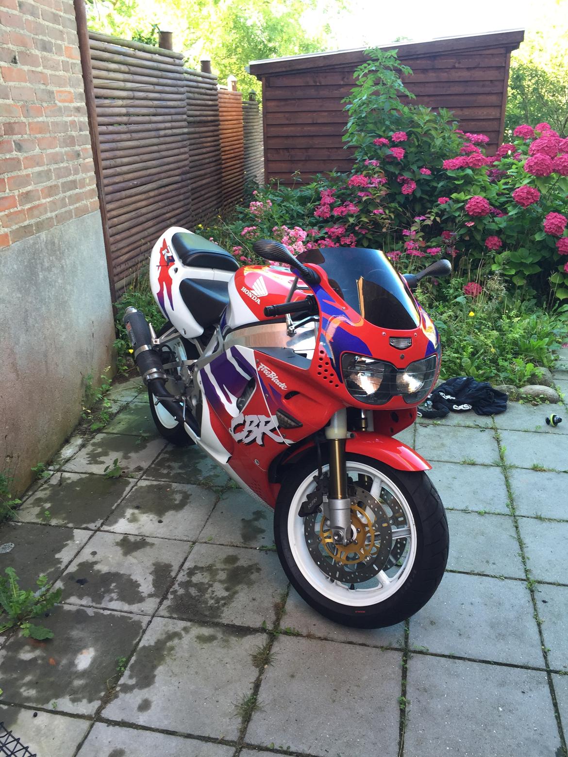 Honda CBR 900 billede 8