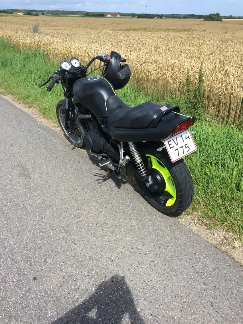 Suzuki Vx 800 billede 4