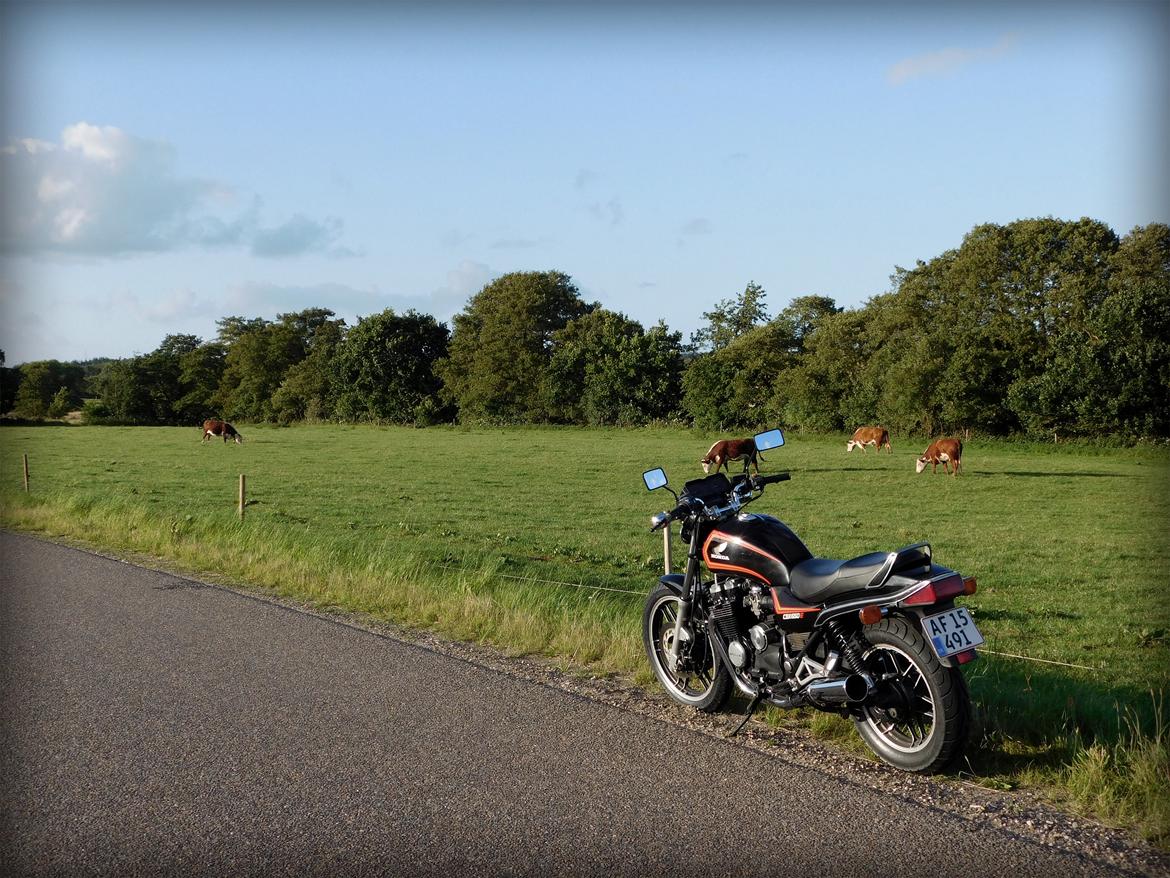 Honda CBX 650 E billede 14