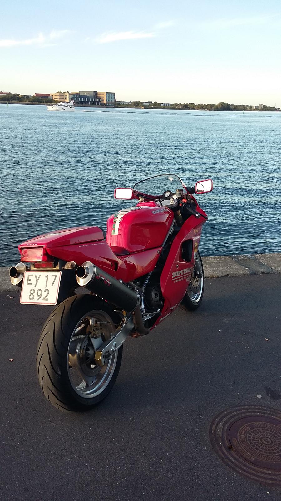 Ducati 888 billede 23