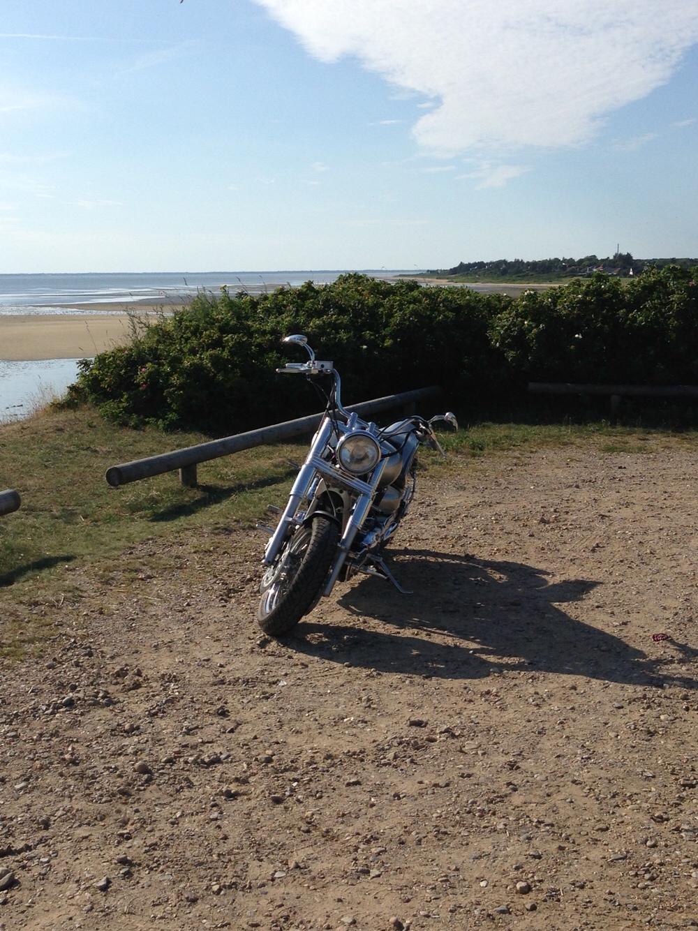 Yamaha XVS 1100 billede 12