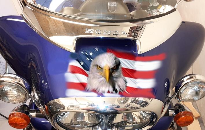 Honda valkyrie intersted billede 7