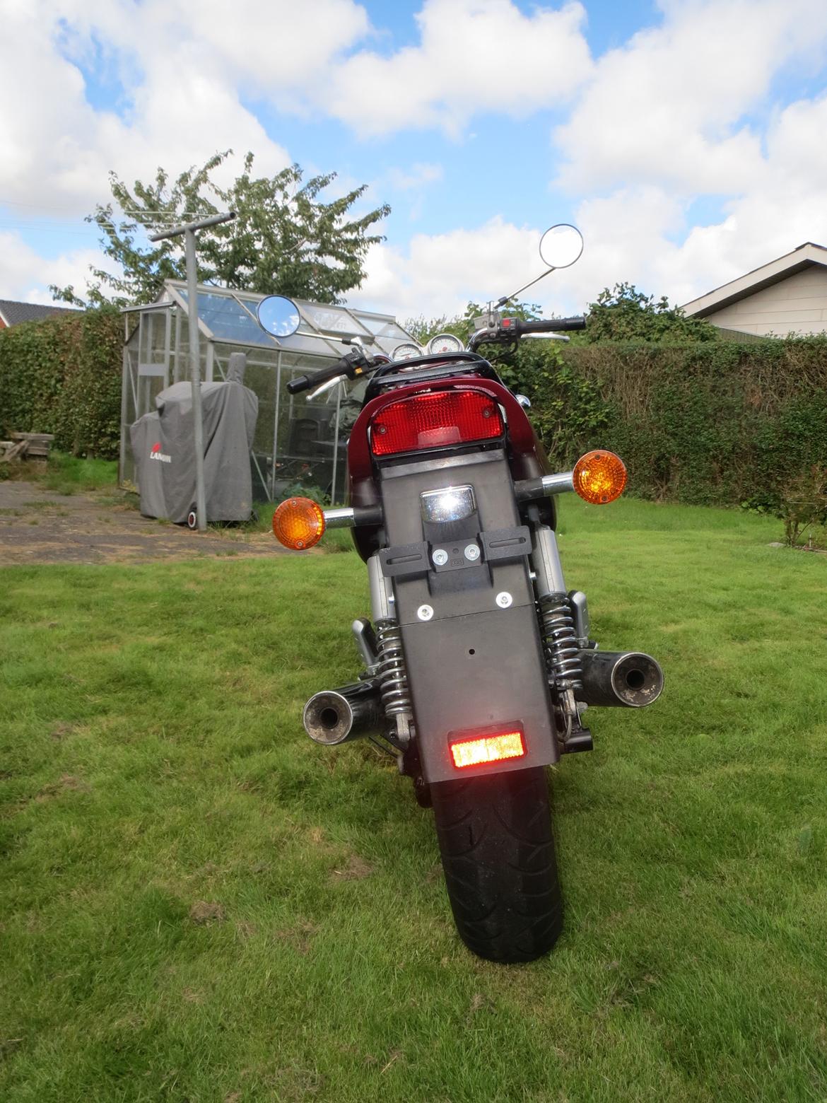 Suzuki VX 800 [Solgt] billede 9