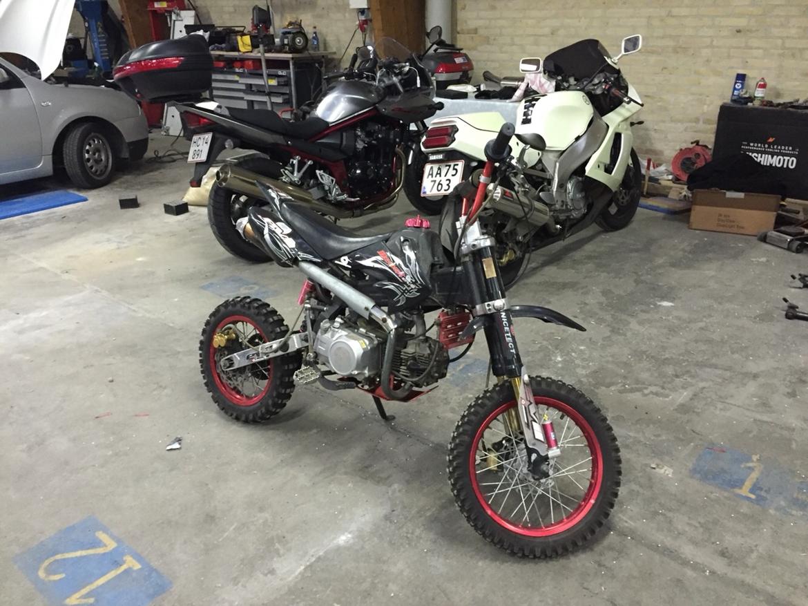 Shineray Motard pitbike billede 7