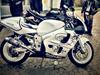 Suzuki GSXR 600 SRAD