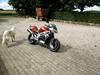 Aprilia SL1000 Falco Fighter