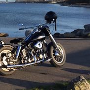 Harley Davidson Shovelhead FXS 1200