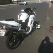 Suzuki SV 650s