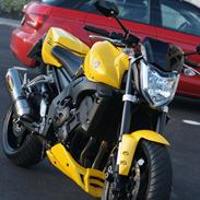 Yamaha fz1-n