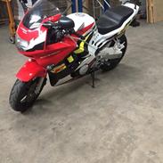 Honda CBR 600 F3