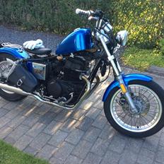 Honda Cmx 450 Bobber 