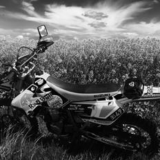 Suzuki DRZ 400 SM