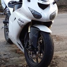 Kawasaki Zx10r  (SOLGT)