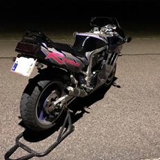 Suzuki Gsxr 1100 (SOLGT)