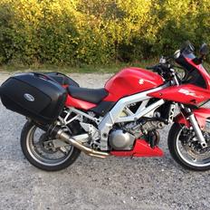 Suzuki SV 1000
