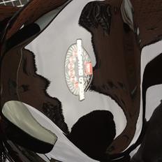 Aprilia RSV 1000 Mille Chippet