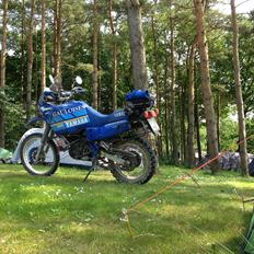 Yamaha XT 600 Z Tenere 3AJ