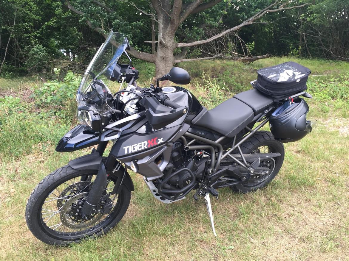 Triumph Tiger 800 XCx (MY15) billede 4
