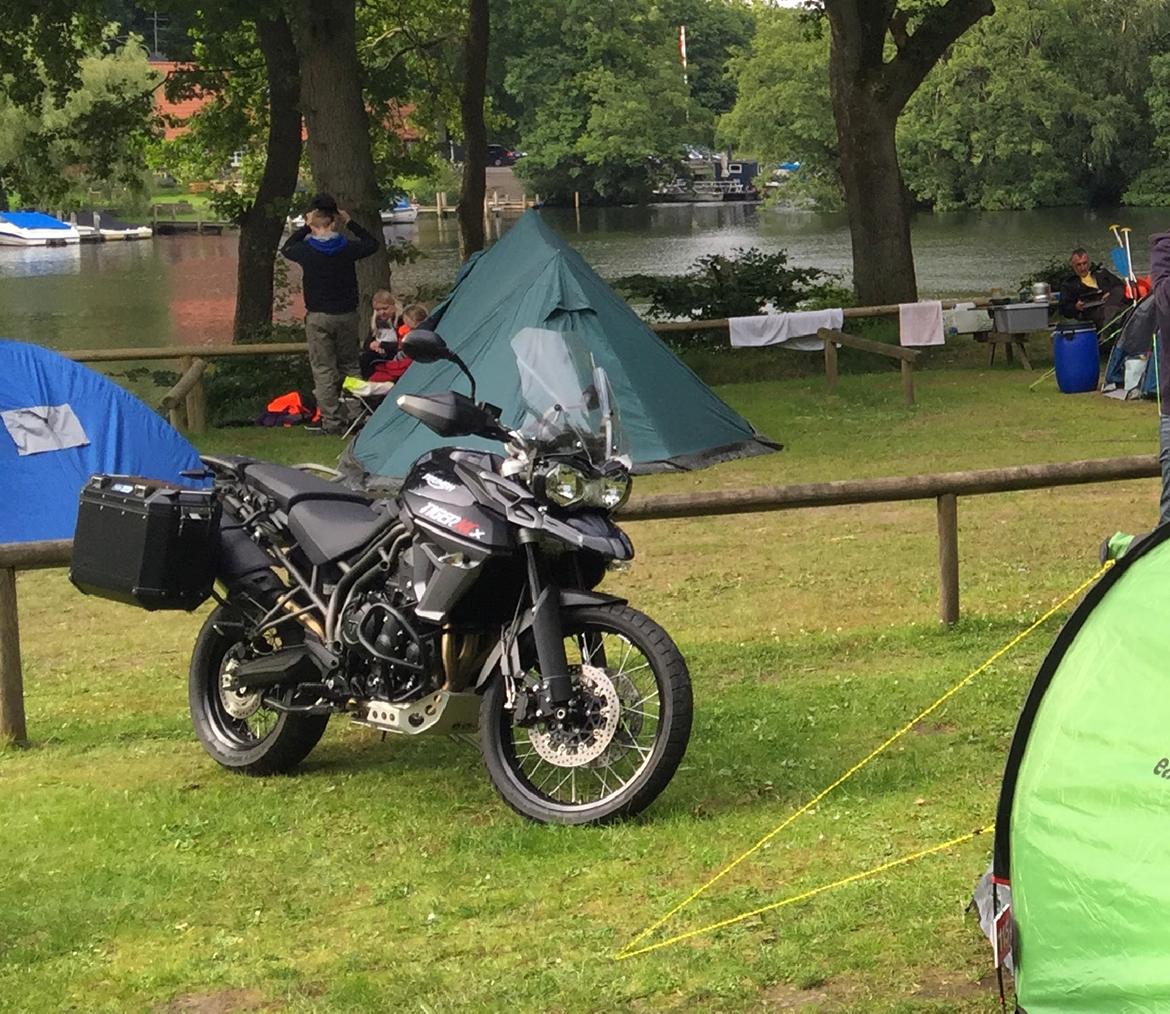 Triumph Tiger 800 XCx (MY15) billede 7