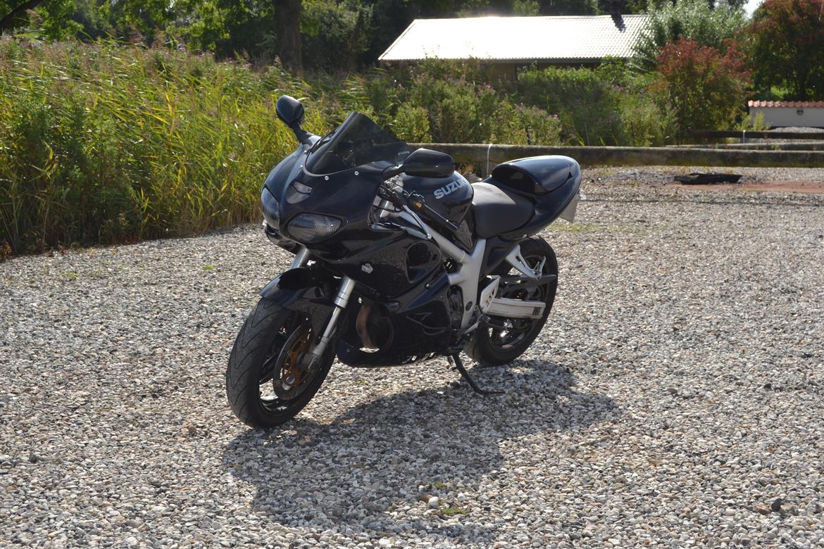 Suzuki SV 650 [SOLGT] billede 2