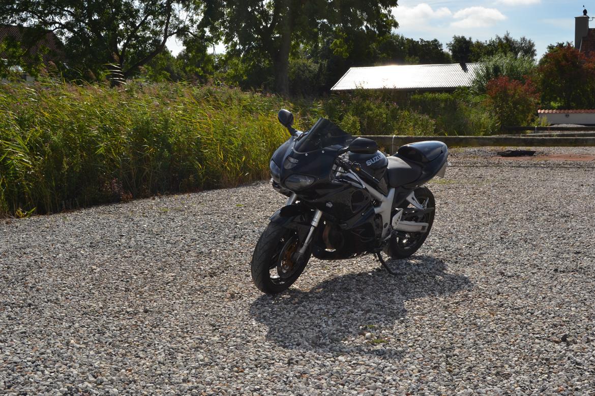 Suzuki SV 650 [SOLGT] billede 3