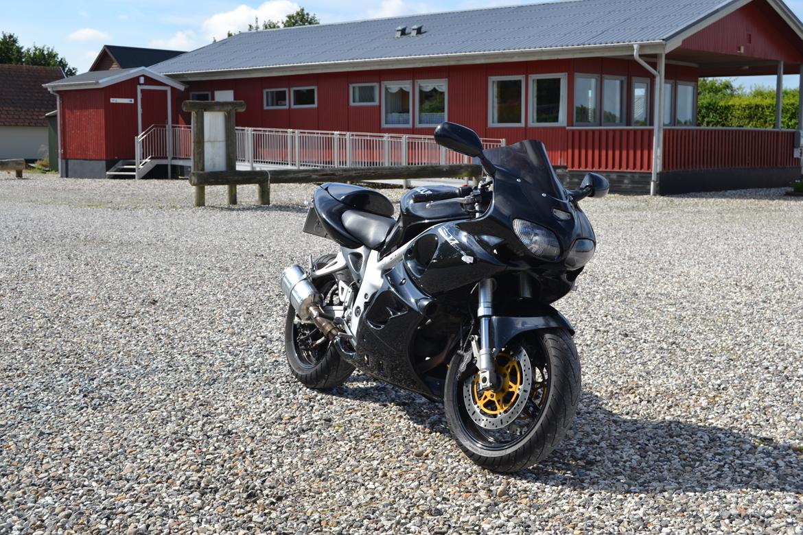 Suzuki SV 650 [SOLGT] billede 5