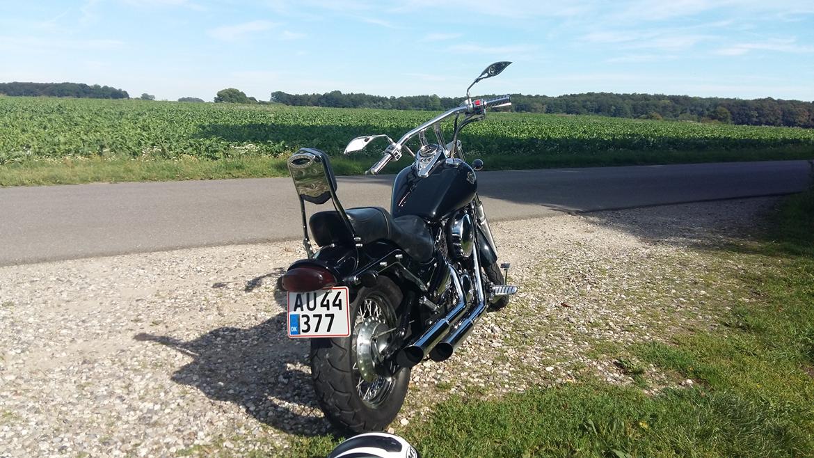 Kawasaki VN 800A billede 10