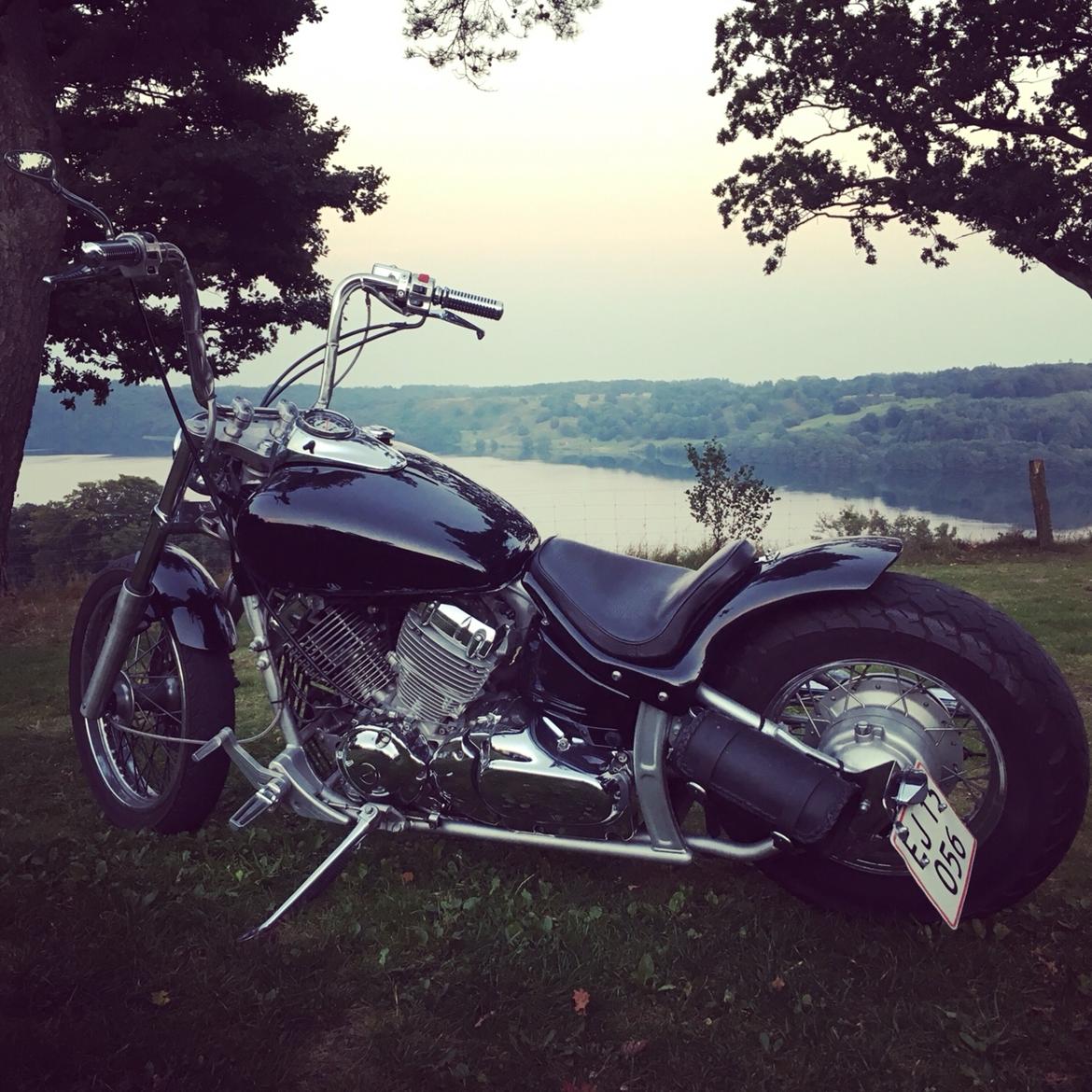 Yamaha XVS 650 Dragstar (solgt) billede 27