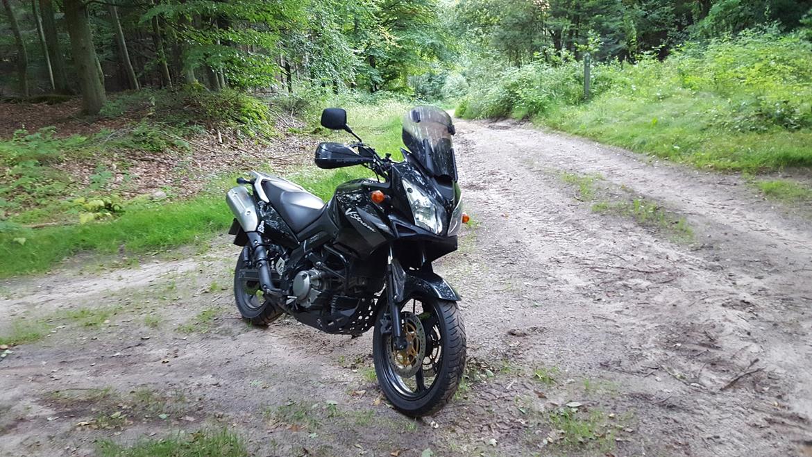 Suzuki DL 650 V Strom billede 5