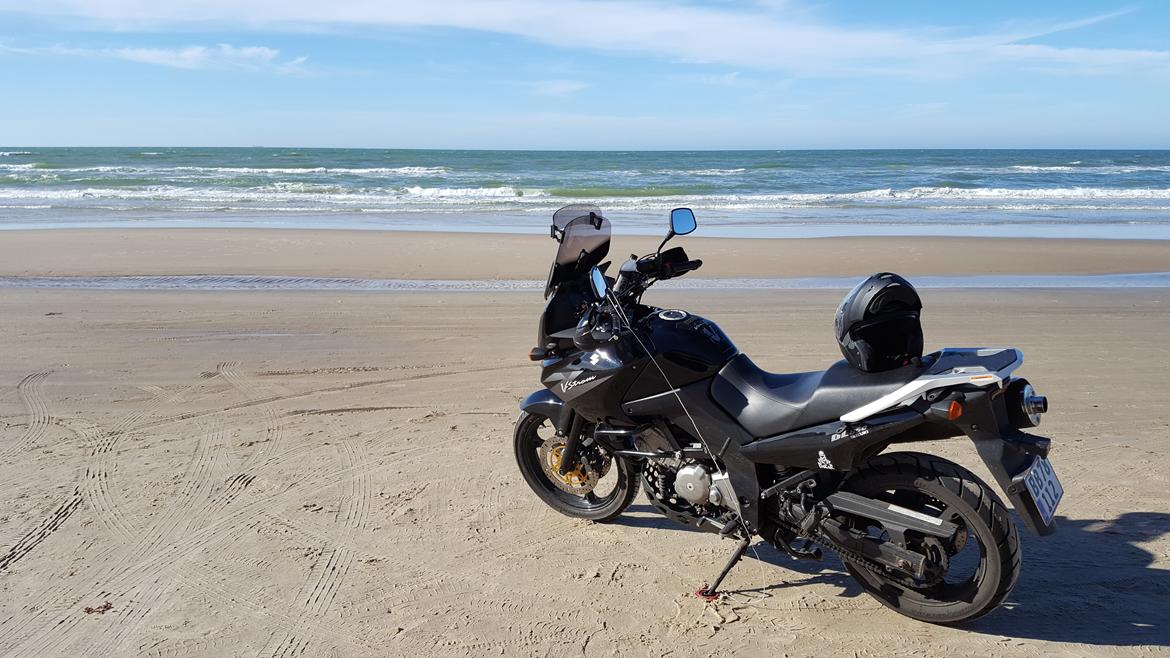 Suzuki DL 650 V Strom billede 6