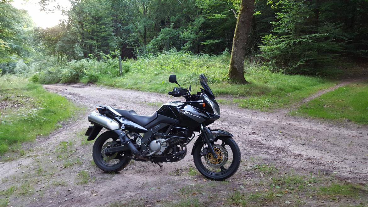 Suzuki DL 650 V Strom billede 7