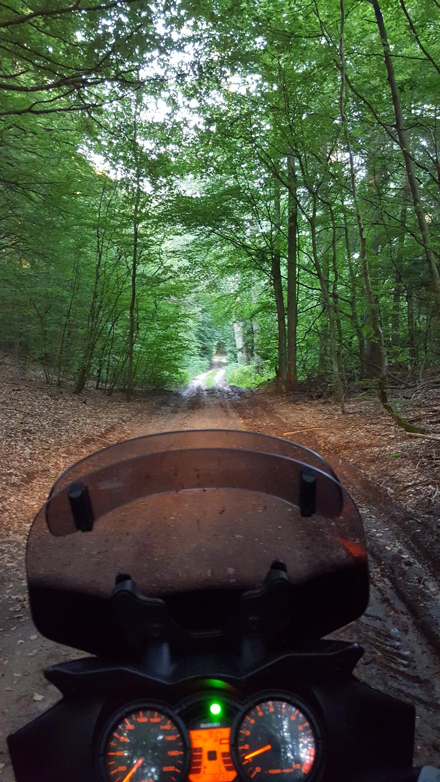 Suzuki DL 650 V Strom billede 8