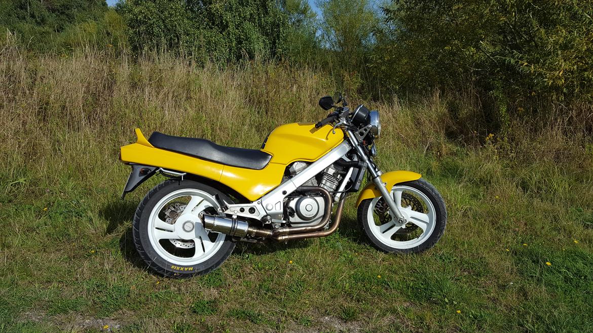 Honda ntv revere billede 1