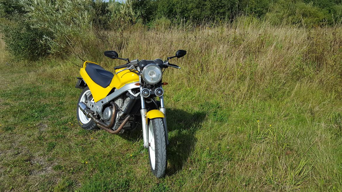 Honda ntv revere billede 3