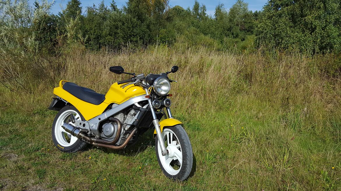 Honda ntv revere billede 6