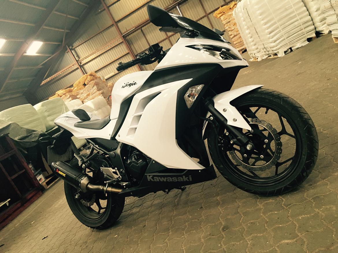 Kawasaki Ninja 300 ( ZX-3R) billede 6