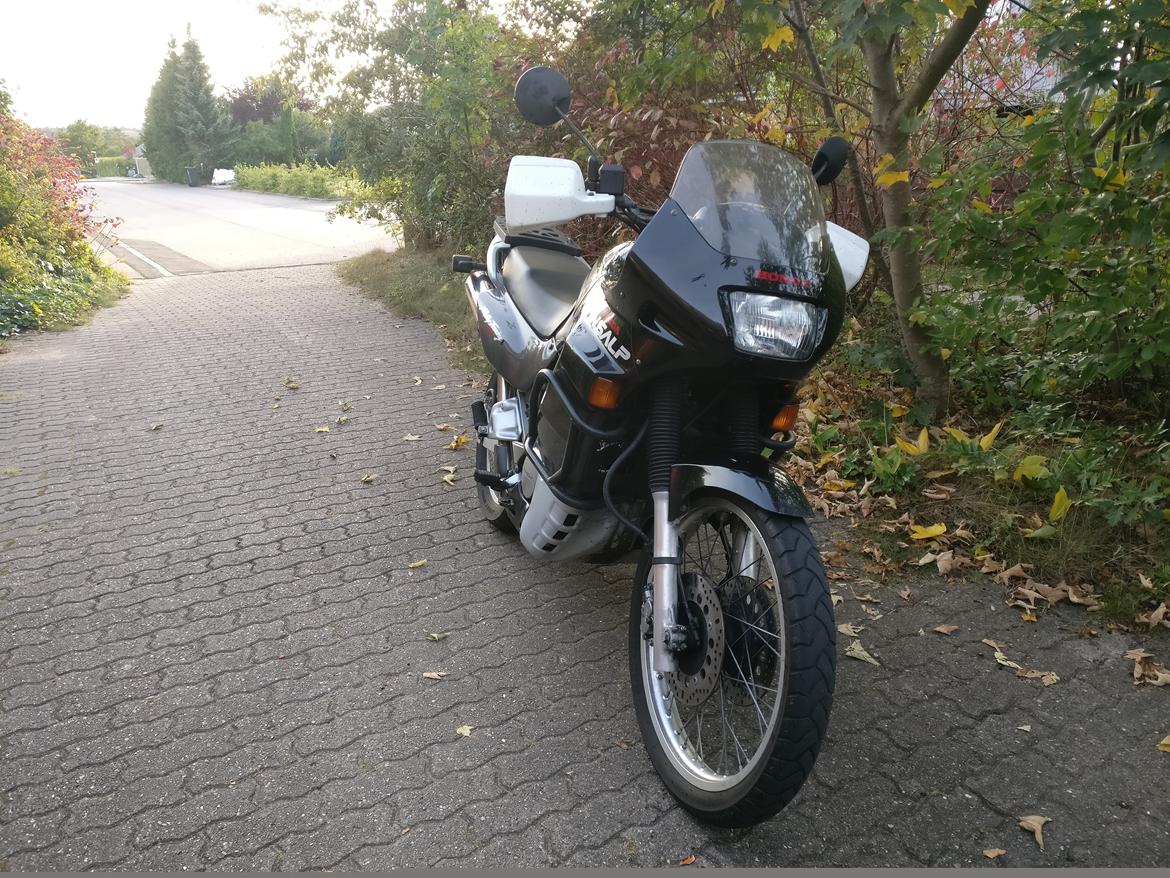 Honda XL 600 V Transalp PD10 - Lige da jeg fik den hjem i Sept. 2016 billede 24