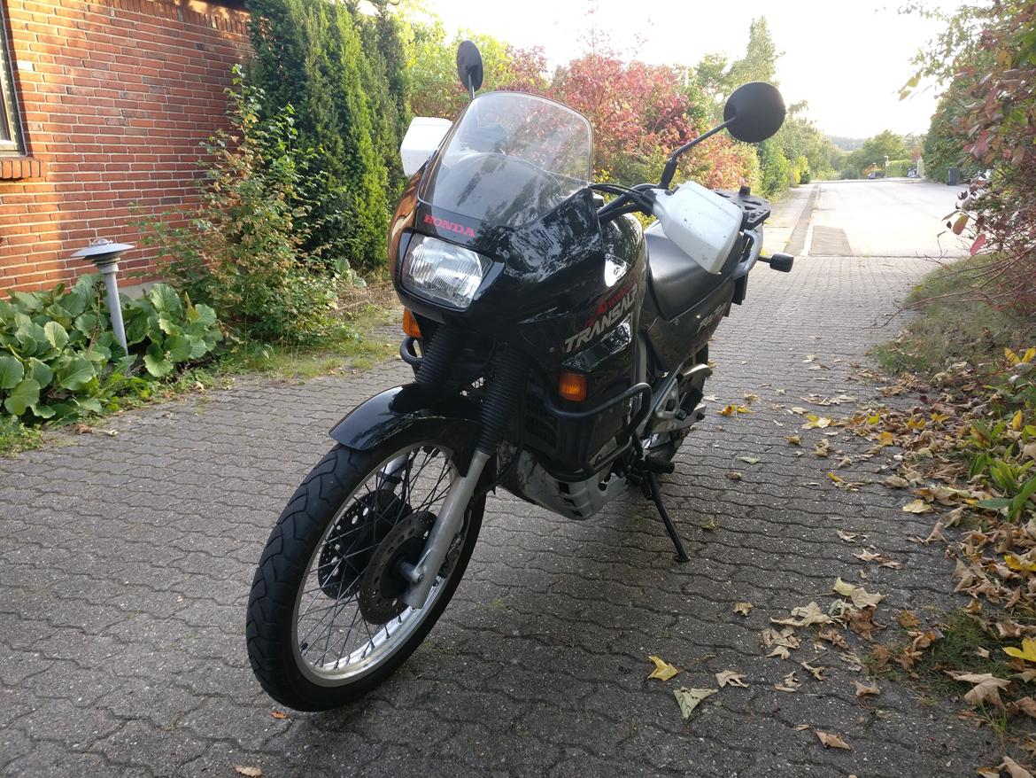 Honda XL 600 V Transalp PD10 - Lige da jeg fik den hjem i Sept. 2016 billede 28