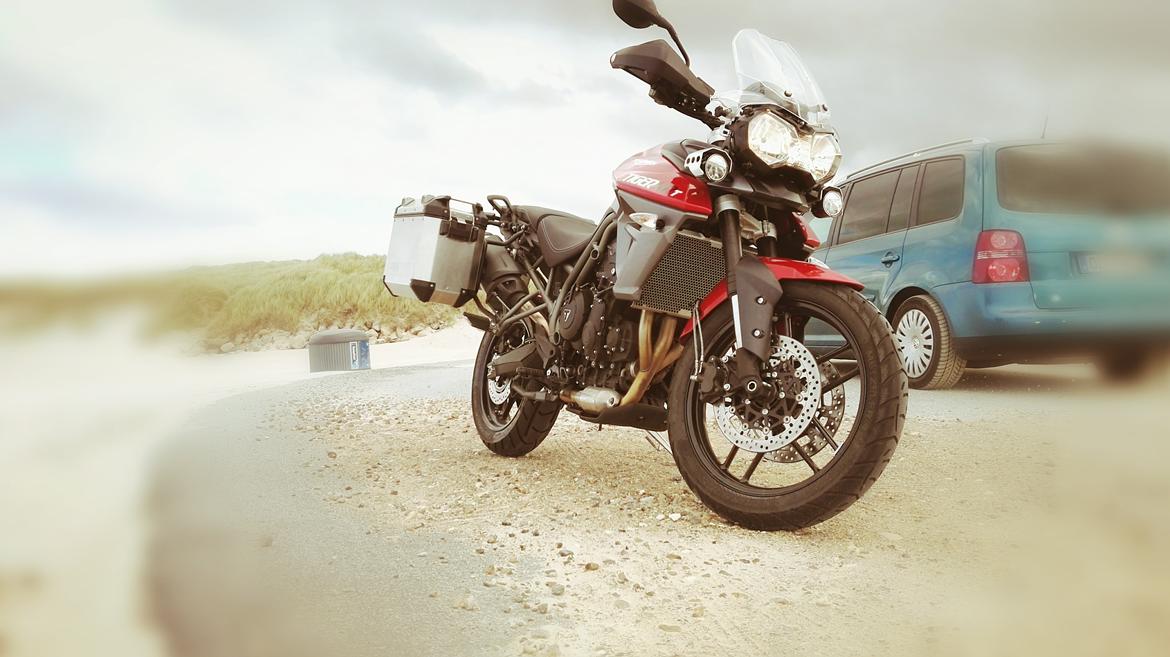 Triumph Tiger 800 XRT billede 1