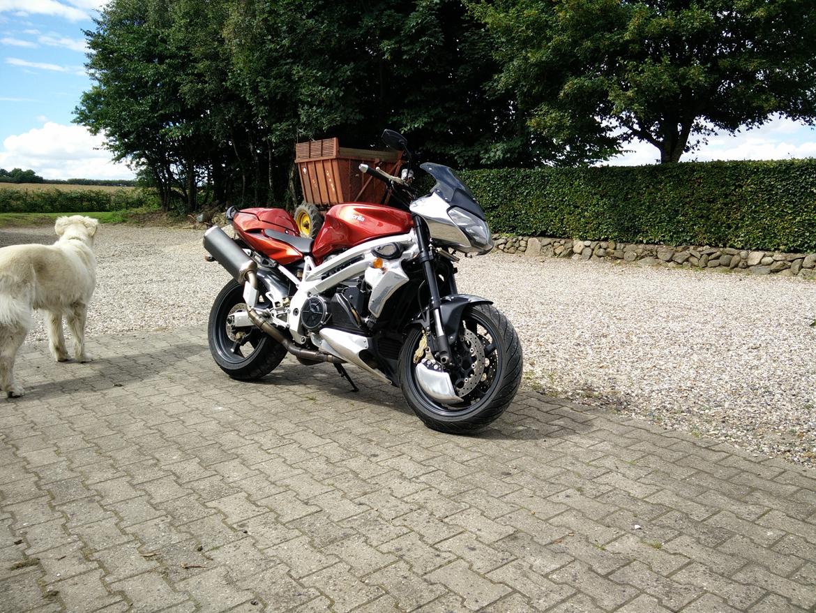 Aprilia SL1000 Falco Fighter billede 9