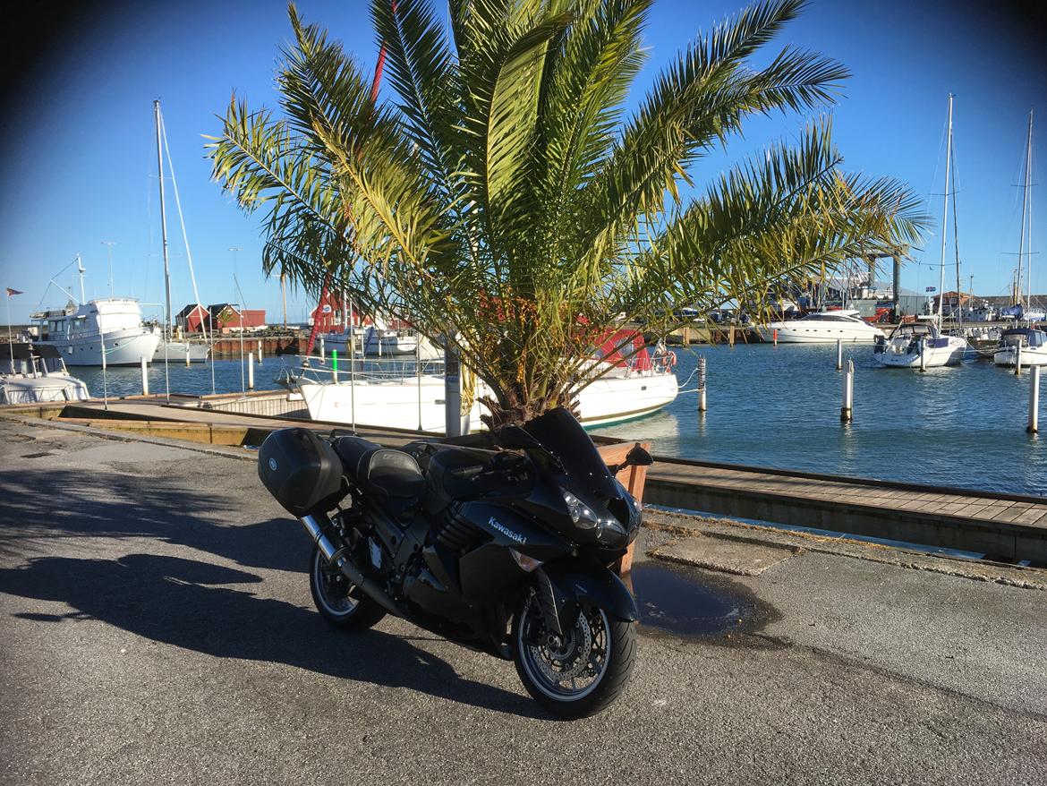 Kawasaki ZZR 1400 Ninja *solgt* - På Havnen i Strandby billede 32